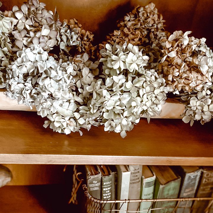 Display of dry hydrangeas in dough bowl on bookcase