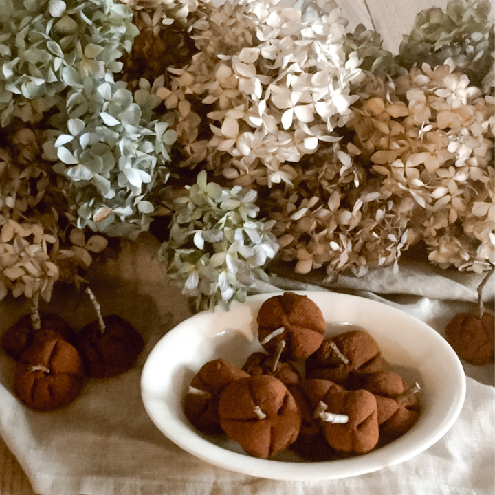 cinnamon applesauce pumpkins in bowl by dried hydrangeas