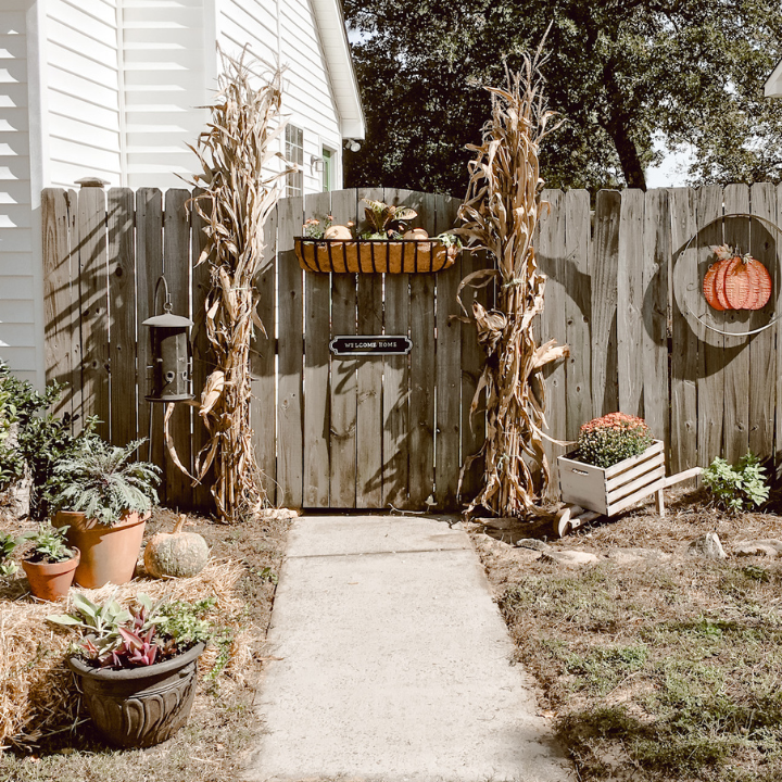 Fall display with pumpkins and corn stalks in front of a fence
