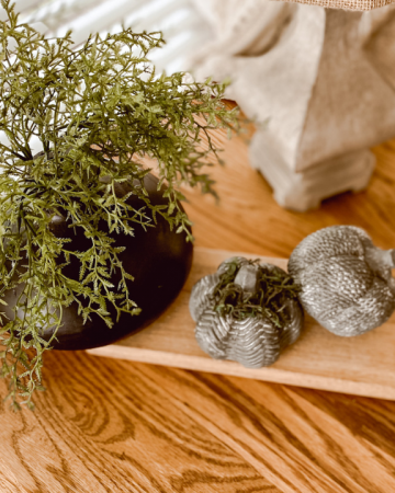 DIY Faux Concrete Dollar Store Pumpkins on table with plant