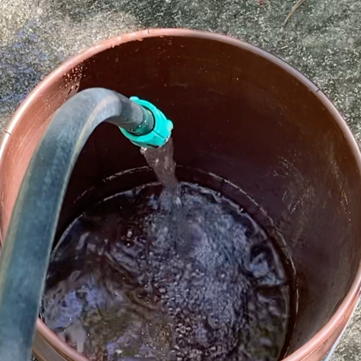 five gallon bucket with water hose in it filling with water